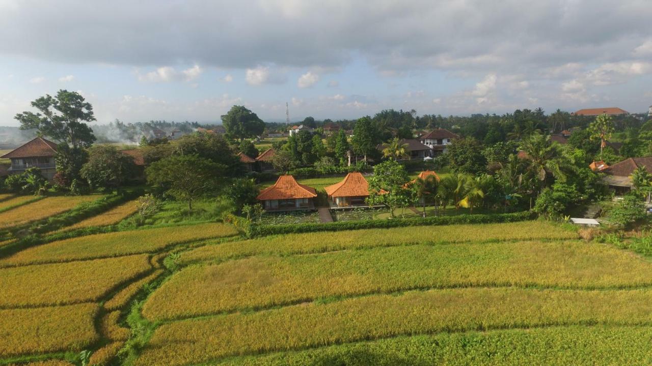 Griya Kcb Villa Ubud Mas  Екстер'єр фото