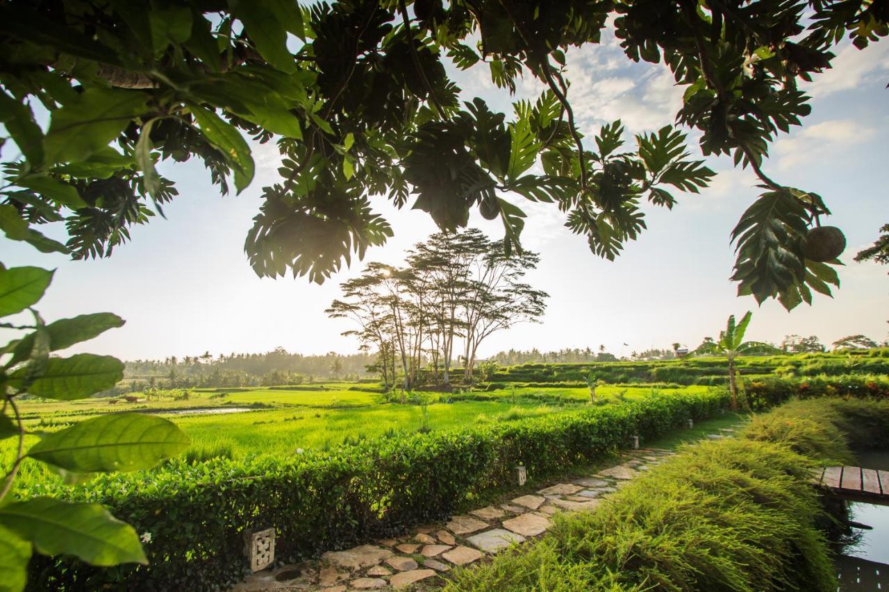 Griya Kcb Villa Ubud Mas  Екстер'єр фото