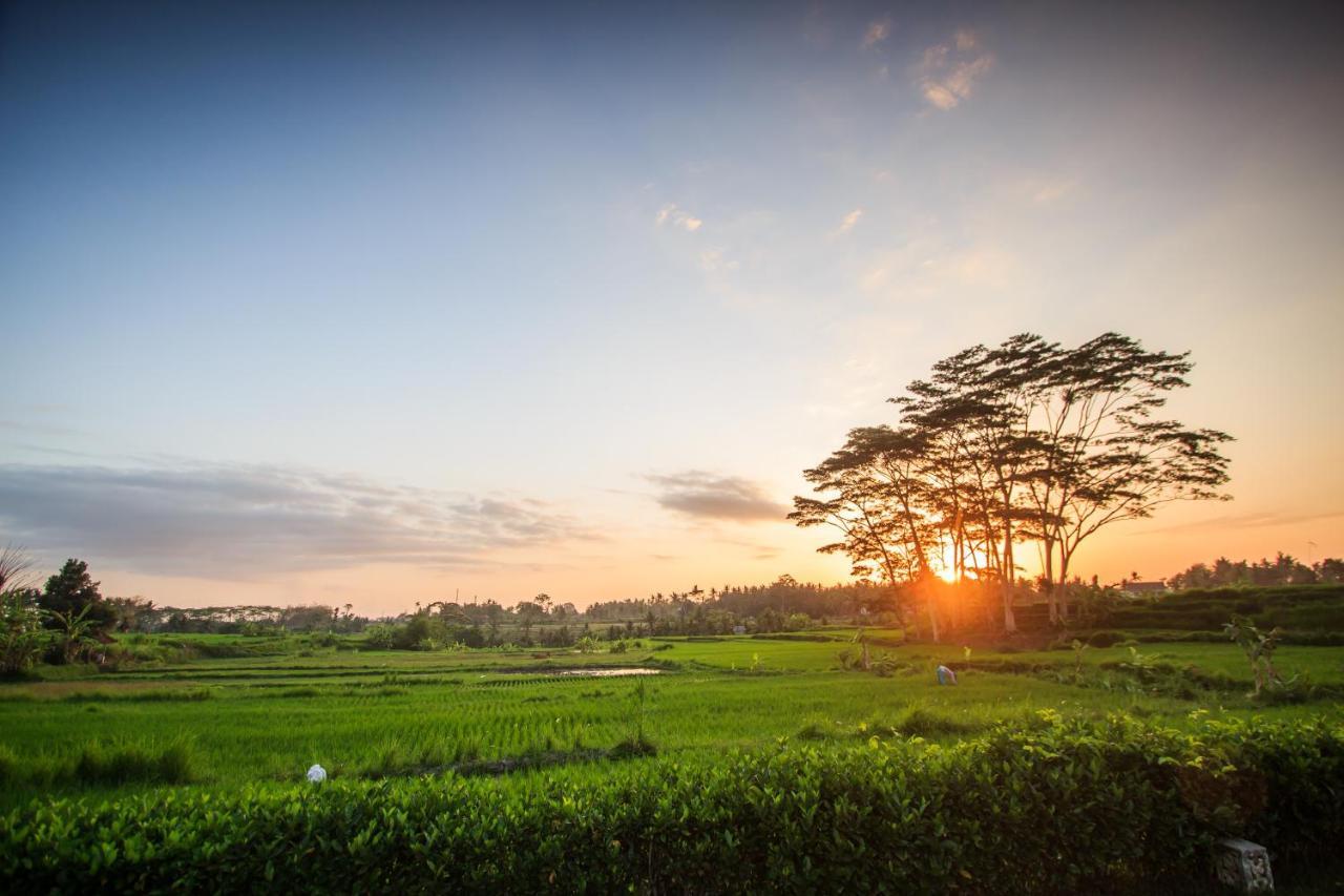 Griya Kcb Villa Ubud Mas  Екстер'єр фото