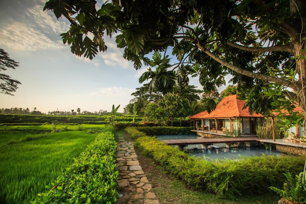 Griya Kcb Villa Ubud Mas  Екстер'єр фото