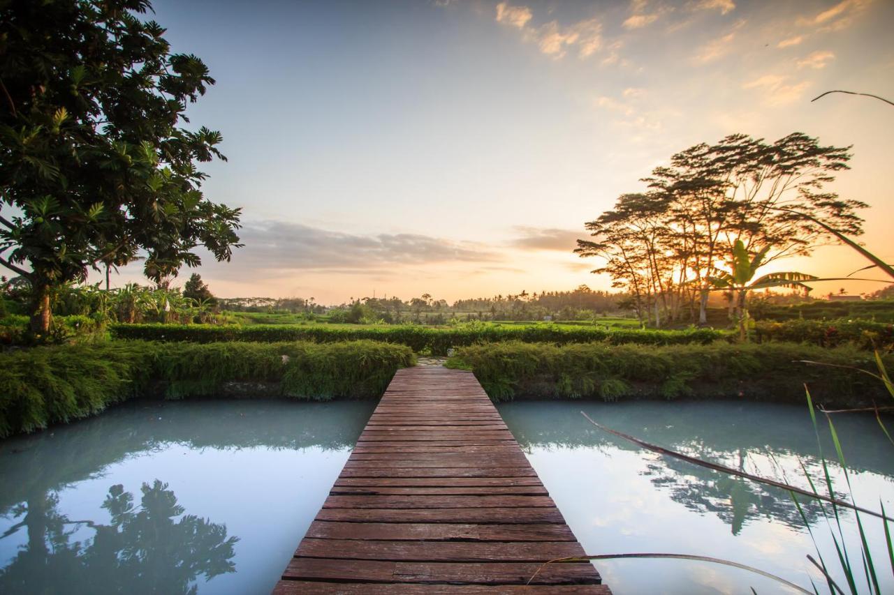 Griya Kcb Villa Ubud Mas  Екстер'єр фото