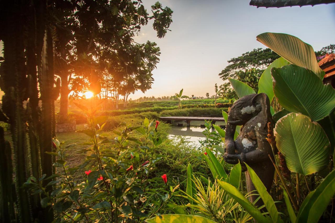 Griya Kcb Villa Ubud Mas  Екстер'єр фото