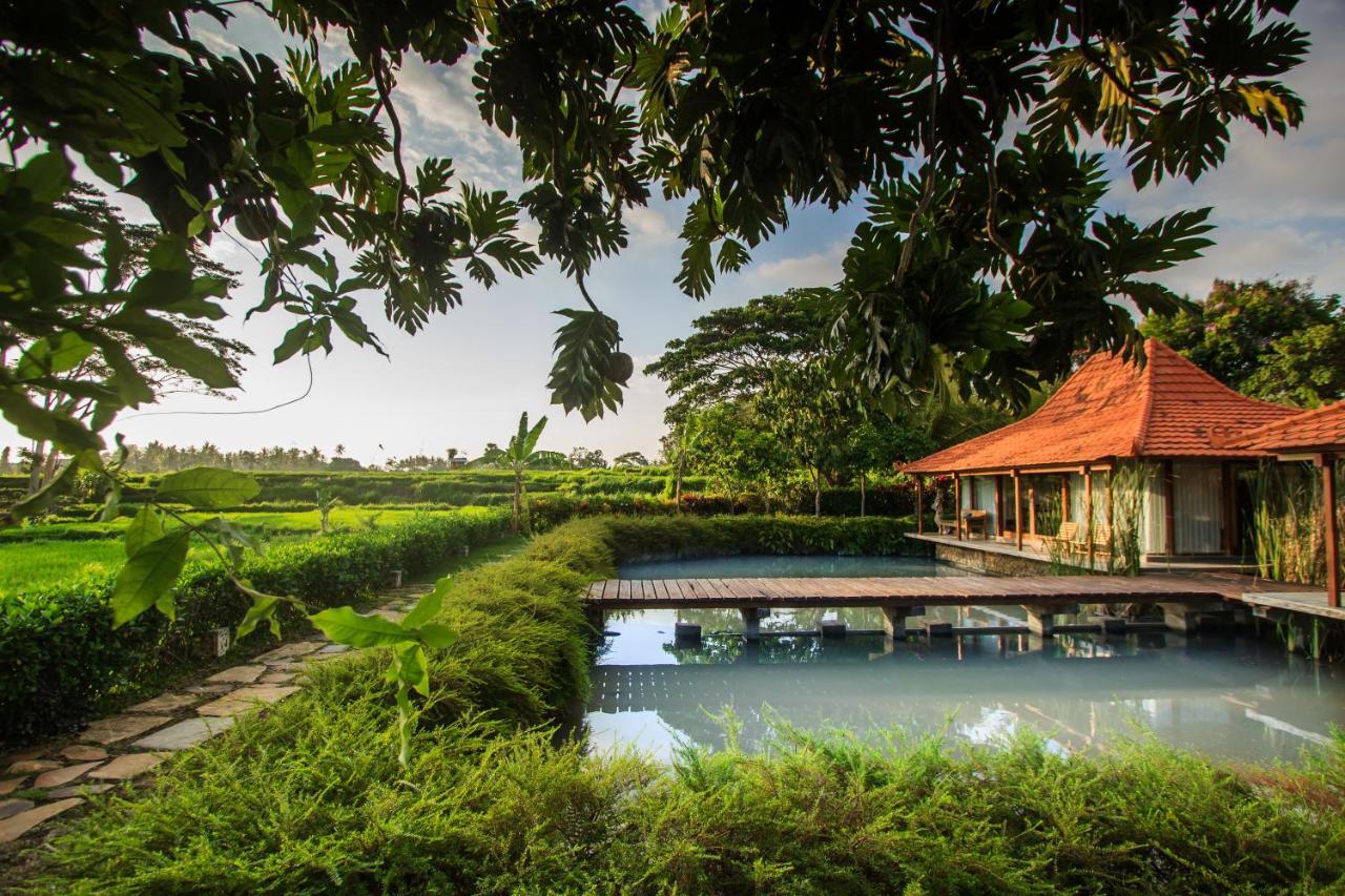 Griya Kcb Villa Ubud Mas  Екстер'єр фото